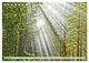 Thumbnail-14