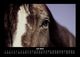 Thumbnail-11