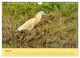 Thumbnail-9