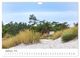 Thumbnail-14