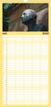 Thumbnail-11