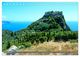 Thumbnail-14