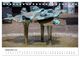 Thumbnail-11