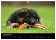 Thumbnail-10