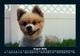 Thumbnail-12