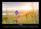Thumbnail-10