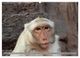Thumbnail-10