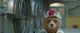Thumbnail-11