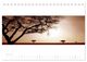 Thumbnail-11