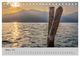Thumbnail-12