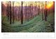 Thumbnail-8