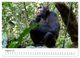 Thumbnail-13
