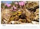Thumbnail-12