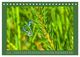 Thumbnail-11