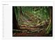 Thumbnail-13