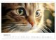 Thumbnail-12