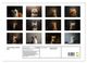 Thumbnail-9