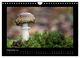 Thumbnail-11