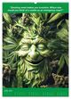 Thumbnail-12