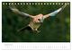 Thumbnail-10