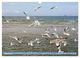 Thumbnail-11
