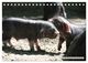Thumbnail-8