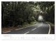 Thumbnail-14