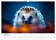 Thumbnail-11