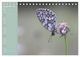 Thumbnail-11