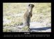 Thumbnail-10