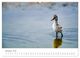 Thumbnail-13