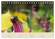 Thumbnail-9