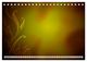 Thumbnail-14