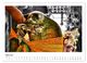 Thumbnail-8