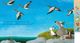 Thumbnail-8