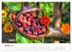 Thumbnail-12