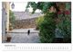 Thumbnail-14