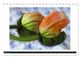 Thumbnail-14