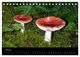 Thumbnail-9