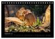 Thumbnail-11