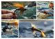 Thumbnail-9