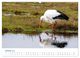 Thumbnail-12