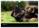 Thumbnail-12