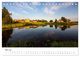 Thumbnail-10