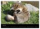 Thumbnail-11