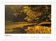 Thumbnail-12