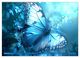 Thumbnail-14