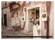 Thumbnail-13