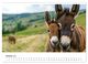 Thumbnail-11
