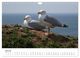 Thumbnail-12